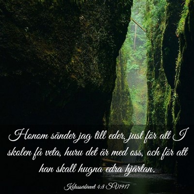 Picture 03 - Kolosserbrevet 4:8 SV1917 - Honom sänder jag till eder, just för att I - Bible Verse Picture