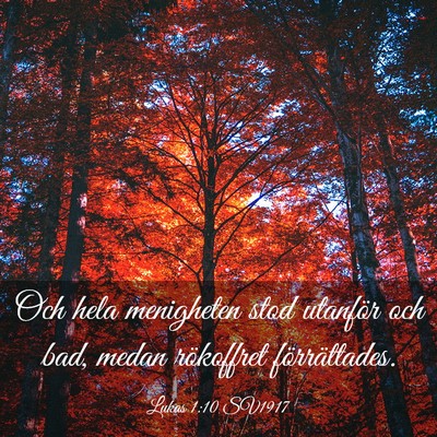 Picture 03 - Lukas 1:10 SV1917 - Och hela menigheten stod utanför och bad, medan - Bible Verse Picture