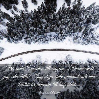 Picture 03 - Lukas 1:18 SV1917 - Då sade Sakarias till ängeln: »Varav skall jag - Bible Verse Picture