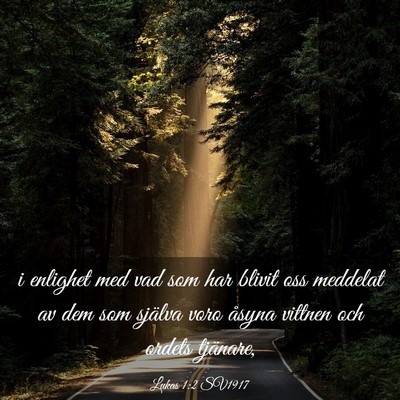 Picture 03 - Lukas 1:2 SV1917 - i enlighet med vad som har blivit oss meddelat av - Bible Verse Picture