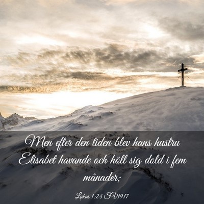 Picture 03 - Lukas 1:24 SV1917 - Men efter den tiden blev hans hustru Elisabet - Bible Verse Picture