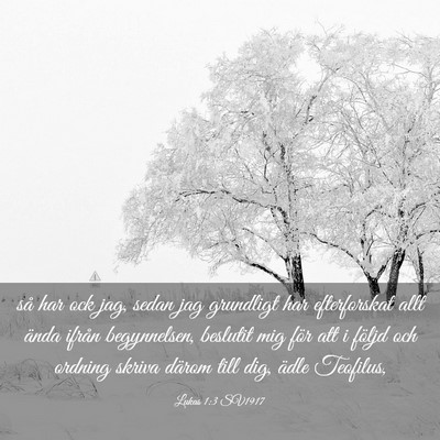 Picture 03 - Lukas 1:3 SV1917 - så har ock jag, sedan jag grundligt har - Bible Verse Picture