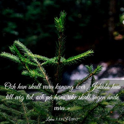 Picture 03 - Lukas 1:33 SV1917 - Och han skall vara konung över Jakobs hus till - Bible Verse Picture