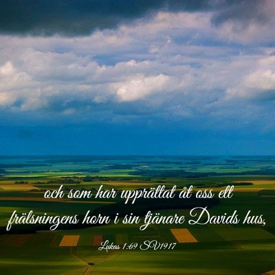 Picture 03 - Lukas 1:69 SV1917 - och som har upprättat åt oss ett frälsningens - Bible Verse Picture