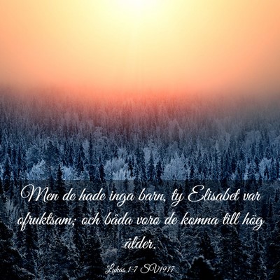 Picture 03 - Lukas 1:7 SV1917 - Men de hade inga barn, ty Elisabet var ofruktsam; - Bible Verse Picture