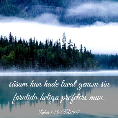 Picture 03 - Lukas 1:70 SV1917 - såsom han hade lovat genom sin forntida heliga - Bible Verse Picture