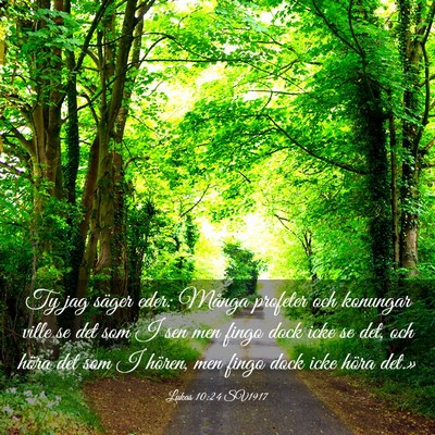 Picture 03 - Lukas 10:24 SV1917 - Ty jag säger eder: Många profeter och konungar - Bible Verse Picture