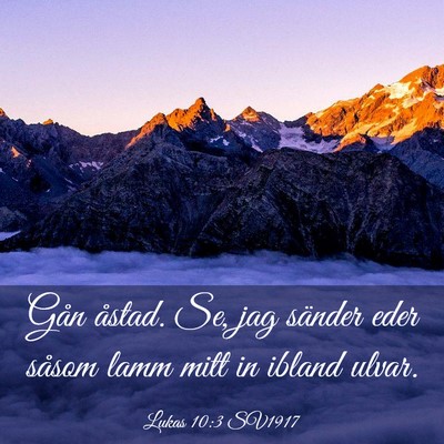 Picture 03 - Lukas 10:3 SV1917 - Gån åstad. Se, jag sänder eder såsom lamm - Bible Verse Picture