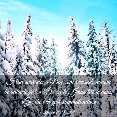 Picture 03 - Lukas 10:37 SV1917 - Han svarade: »Den som bevisade honom - Bible Verse Picture