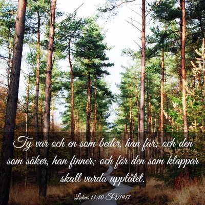 Picture 03 - Lukas 11:10 SV1917 - Ty var och en som beder, han får; och den som - Bible Verse Picture