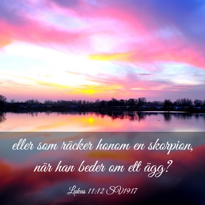 Picture 03 - Lukas 11:12 SV1917 - eller som räcker honom en skorpion, när han - Bible Verse Picture