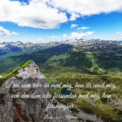 Picture 03 - Lukas 11:23 SV1917 - Den som icke är med mig, han är emot mig, och - Bible Verse Picture