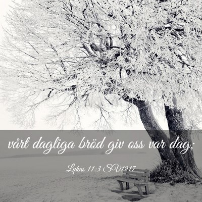 Picture 03 - Lukas 11:3 SV1917 - vårt dagliga bröd giv oss var - Bible Verse Picture