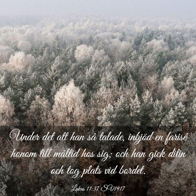 Picture 03 - Lukas 11:37 SV1917 - Under det att han så talade, inbjöd en farisé - Bible Verse Picture