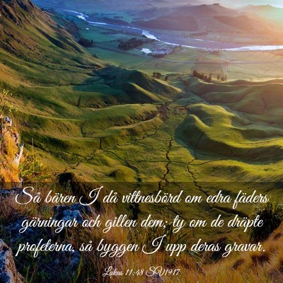 Picture 03 - Lukas 11:48 SV1917 - Så bären I då vittnesbörd om edra fäders - Bible Verse Picture
