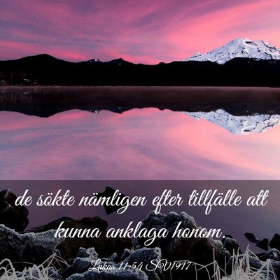 Picture 03 - Lukas 11:54 SV1917 - de sökte nämligen efter tillfälle att kunna - Bible Verse Picture