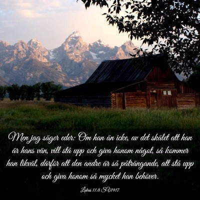 Picture 03 - Lukas 11:8 SV1917 - Men jag säger eder: Om han än icke, av det - Bible Verse Picture
