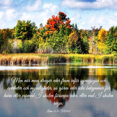 Picture 03 - Lukas 12:11 SV1917 - Men när man drager eder fram inför synagogor - Bible Verse Picture