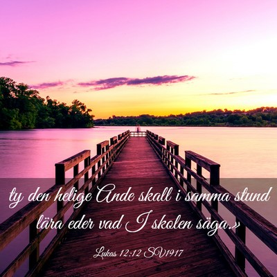 Picture 03 - Lukas 12:12 SV1917 - ty den helige Ande skall i samma stund lära eder - Bible Verse Picture
