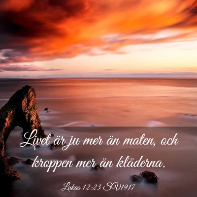 Picture 03 - Lukas 12:23 SV1917 - Livet är ju mer än maten, och kroppen mer än - Bible Verse Picture