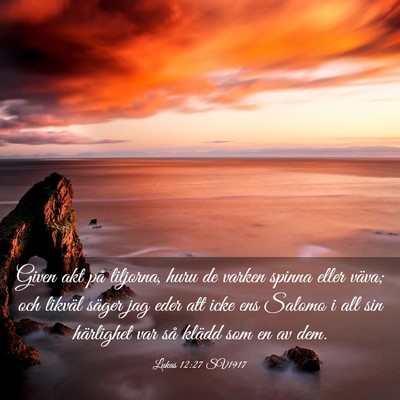 Picture 03 - Lukas 12:27 SV1917 - Given akt på liljorna, huru de varken spinna - Bible Verse Picture