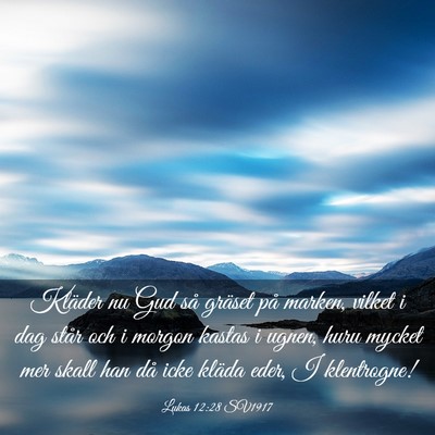 Picture 03 - Lukas 12:28 SV1917 - Kläder nu Gud så gräset på marken, vilket i - Bible Verse Picture