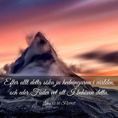 Picture 03 - Lukas 12:30 SV1917 - Efter allt detta söka ju hedningarna i världen, - Bible Verse Picture