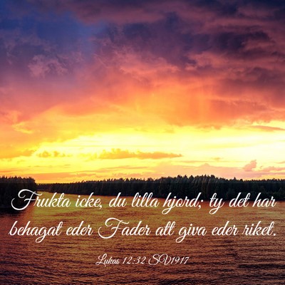 Picture 03 - Lukas 12:32 SV1917 - Frukta icke, du lilla hjord; ty det har behagat - Bible Verse Picture