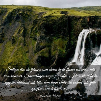Picture 03 - Lukas 12:37 SV1917 - Saliga äro de tjänare som deras herre finner - Bible Verse Picture