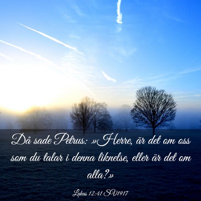 Picture 03 - Lukas 12:41 SV1917 - Då sade Petrus: »Herre, är det om oss som du - Bible Verse Picture
