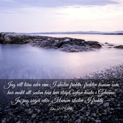 Picture 03 - Lukas 12:5 SV1917 - Jag vill lära eder vem I skolen frukta: frukten - Bible Verse Picture