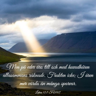 Picture 03 - Lukas 12:7 SV1917 - Men på eder äro till och med huvudhåren - Bible Verse Picture