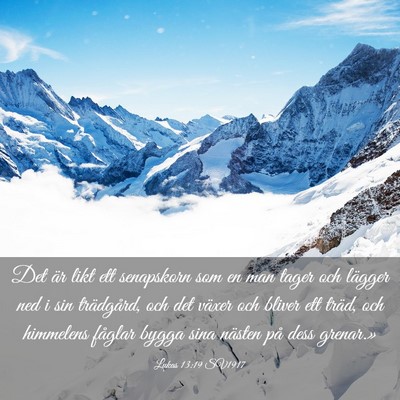 Picture 03 - Lukas 13:19 SV1917 - Det är likt ett senapskorn som en man tager och - Bible Verse Picture