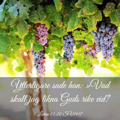 Picture 03 - Lukas 13:20 SV1917 - Ytterligare sade han: »Vad skall jag likna Guds - Bible Verse Picture