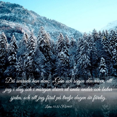 Picture 03 - Lukas 13:32 SV1917 - Då svarade han dem: »Gån och sägen den - Bible Verse Picture