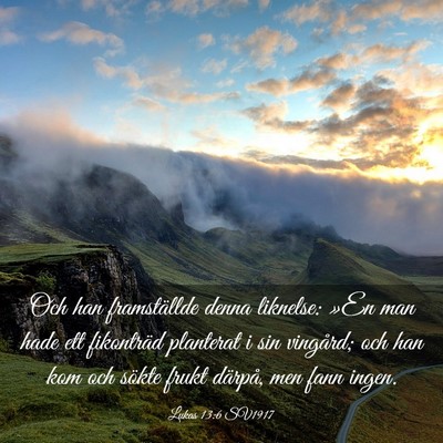 Picture 03 - Lukas 13:6 SV1917 - Och han framställde denna liknelse: »En man - Bible Verse Picture