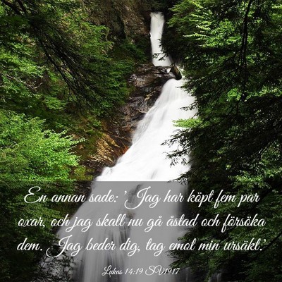 Picture 03 - Lukas 14:19 SV1917 - En annan sade: 'Jag har köpt fem par oxar, och - Bible Verse Picture