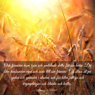 Picture 03 - Lukas 14:21 SV1917 - Och tjänaren kom igen och omtalade detta för - Bible Verse Picture