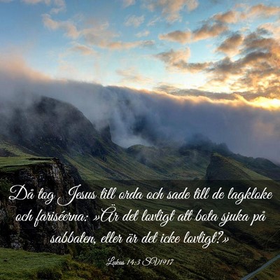 Picture 03 - Lukas 14:3 SV1917 - Då tog Jesus till orda och sade till de lagkloke - Bible Verse Picture