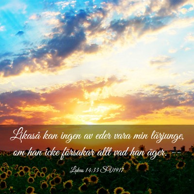 Picture 03 - Lukas 14:33 SV1917 - Likaså kan ingen av eder vara min lärjunge, om - Bible Verse Picture