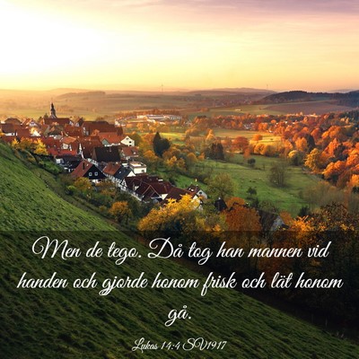 Picture 03 - Lukas 14:4 SV1917 - Men de tego. Då tog han mannen vid handen och - Bible Verse Picture