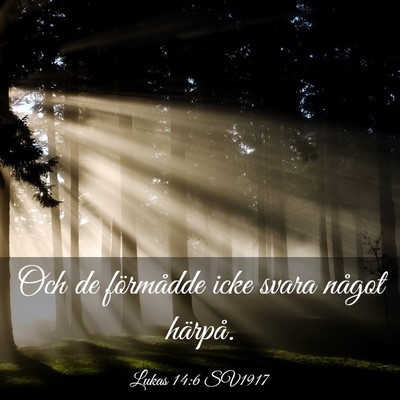 Picture 03 - Lukas 14:6 SV1917 - Och de förmådde icke svara något - Bible Verse Picture