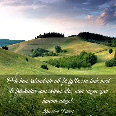 Picture 03 - Lukas 15:16 SV1917 - Och han åstundade att få fylla sin buk med de - Bible Verse Picture