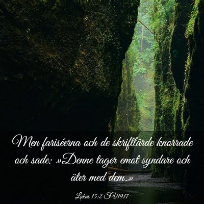 Picture 03 - Lukas 15:2 SV1917 - Men fariséerna och de skriftlärde knorrade och - Bible Verse Picture