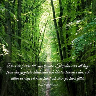 Picture 03 - Lukas 15:22 SV1917 - Då sade fadern till sina tjänare 'Skynden eder - Bible Verse Picture