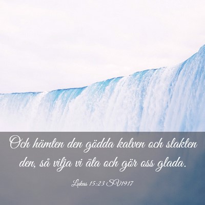 Picture 03 - Lukas 15:23 SV1917 - Och hämten den gödda kalven och slakten den, - Bible Verse Picture
