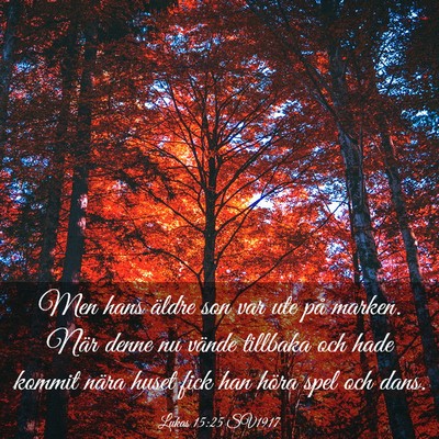 Picture 03 - Lukas 15:25 SV1917 - Men hans äldre son var ute på marken. När - Bible Verse Picture