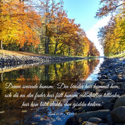Picture 03 - Lukas 15:27 SV1917 - Denne svarade honom: 'Din broder har kommit hem; - Bible Verse Picture