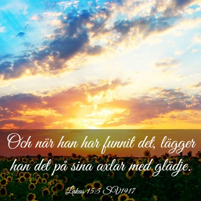 Picture 03 - Lukas 15:5 SV1917 - Och när han har funnit det, lägger han det på - Bible Verse Picture
