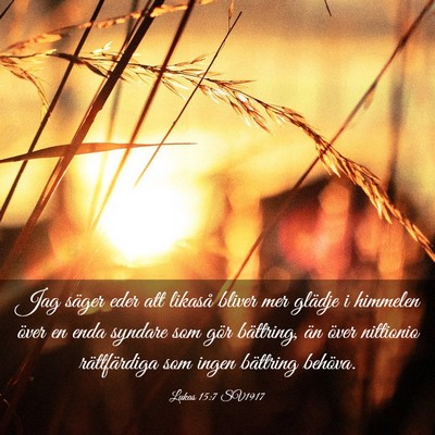 Picture 03 - Lukas 15:7 SV1917 - Jag säger eder att likaså bliver mer glädje i - Bible Verse Picture